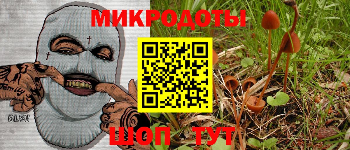 Псилоцибиновые грибы Cubensis  Галлюциногенные грибы Cubensis  Лабытнанги  Вход с VPN 